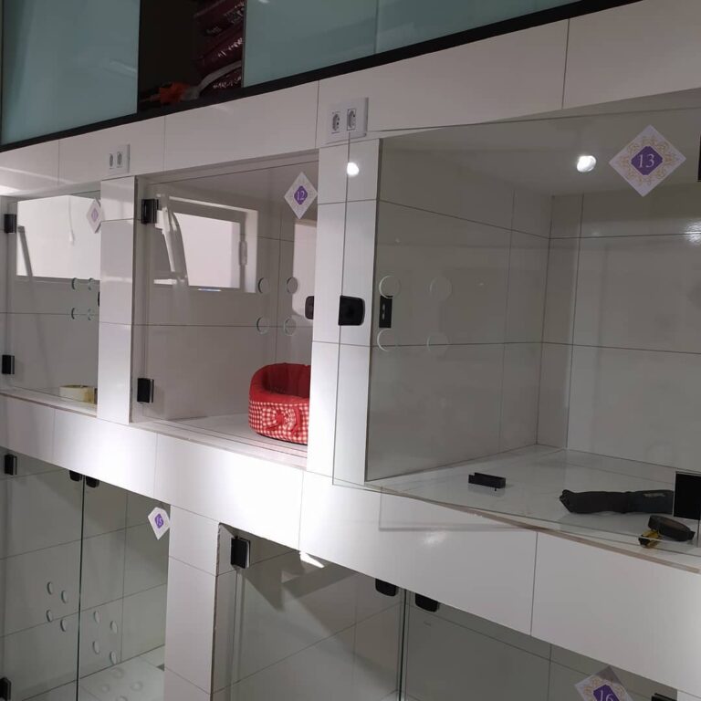 Portas de vidros para baias de pet.(2)