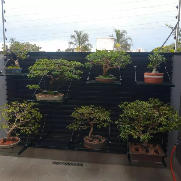 Prateleiras de bonsai, alumínio e vidro.